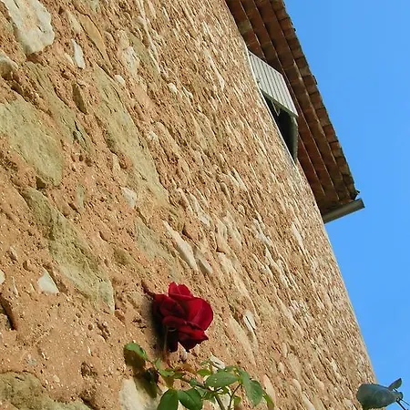 Bed & Breakfast Des Baux *