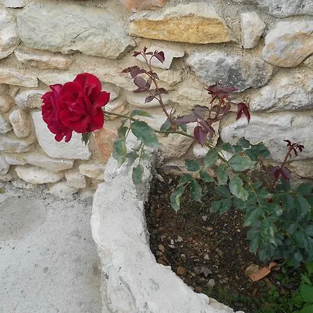 Bed & Breakfast Des Baux *